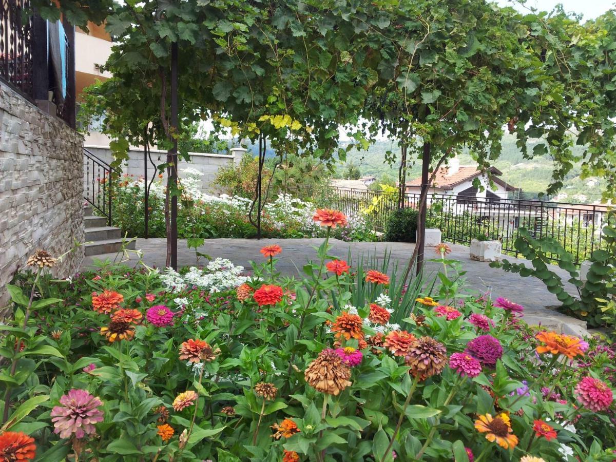 Villa Visoka บัลชิค ภายนอก รูปภาพ